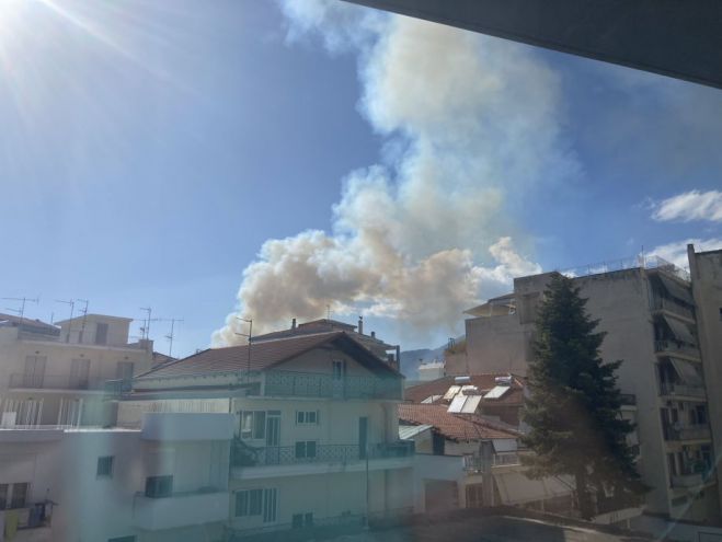 &Zeta;ώ&nu;&eta; &pi;&upsilon;&rho;&alpha;&sigma;&phi;ά&lambda;&epsilon;&iota;&alpha;&sigmaf; &gamma;ύ&rho;&omega; &alpha;&pi;ό &tau;&omicron; &Pi;&alpha;&nu;&alpha;&rho;&kappa;&alpha;&delta;&iota;&kappa;ό &Nu;&omicron;&sigma;&omicron;&kappa;&omicron;&mu;&epsilon;ί&omicron; &zeta;&eta;&tau;ά &tau;&omicron; &Pi;&Alpha;&Sigma;&Omicron;&Kappa; &Alpha;&rho;&kappa;&alpha;&delta;ί&alpha;&sigmaf;