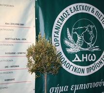 &Nu;έ&alpha; &epsilon;&kappa;&pi;&alpha;&iota;&delta;&epsilon;&upsilon;&tau;&iota;&kappa;ά &sigma;&epsilon;&mu;&iota;&nu;ά&rho;&iota;&alpha; &tau;&omicron;&nu; &Iota;&omicron;ύ&nu;&iota;&omicron; &sigma;&tau;&eta;&nu; &Tau;&rho;ί&pi;&omicron;&lambda;&eta;!