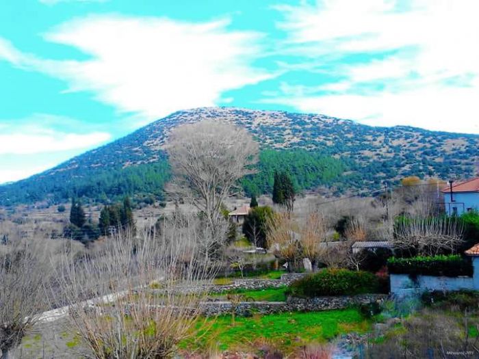 &Gamma;&epsilon;&nu;&iota;&kappa;ή &sigma;&upsilon;&nu;έ&lambda;&epsilon;&upsilon;&sigma;&eta; &sigma;&tau;&omicron; &chi;&omega;&rho;&iota;ό &Mu;ά&nu;&alpha;&rho;&eta;