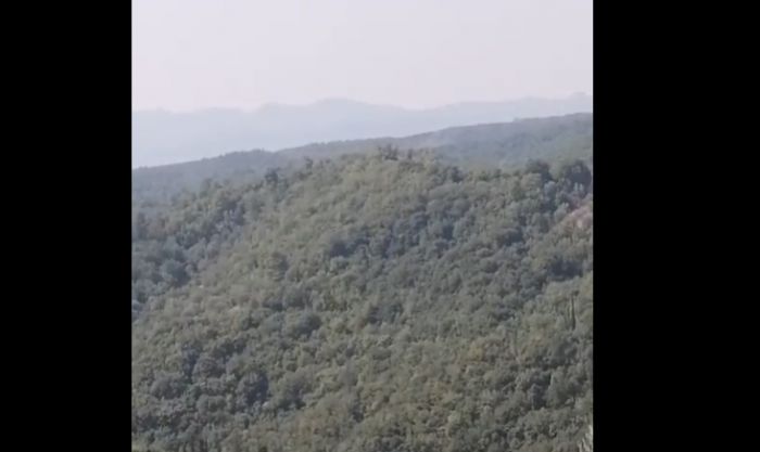 Γορτυνία | Αναζωπύρωση στο δάσος της Κάπελης (vd)