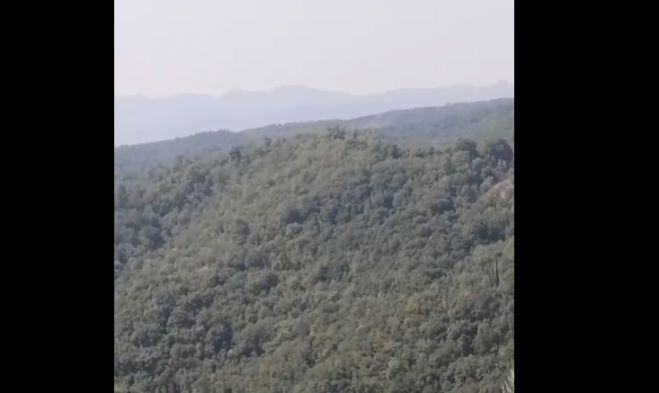 Γορτυνία | Αναζωπύρωση στο δάσος της Κάπελης (vd)