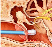 &Alpha;&upsilon;&tau;ί &kappa;&alpha;&iota; &theta;ά&lambda;&alpha;&sigma;&sigma;&alpha;