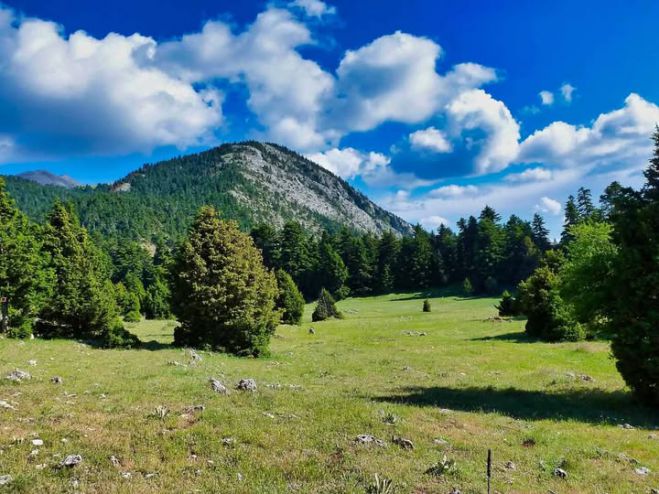 &Tau;&omicron; &psi;έ&mu;&alpha; &gamma;&iota;&alpha; &tau;&eta;&nu; &kappa;ή&rho;&upsilon;&xi;&eta; &omicron;&lambda;ό&kappa;&lambda;&eta;&rho;&omicron;&upsilon; &tau;&omicron;&upsilon; ό&rho;&omicron;&upsilon;&sigmaf; &Pi;ά&rho;&nu;&omega;&nu;&alpha; &omega;&sigmaf; &laquo;&Alpha;&pi;ά&tau;&eta;&tau;&omicron;&upsilon; &Beta;&omicron;&upsilon;&nu;&omicron;ύ&raquo;