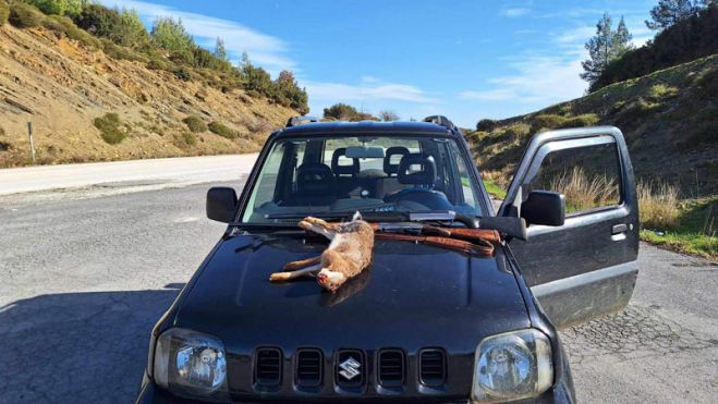 &Sigma;&upsilon;&lambda;&lambda;ή&psi;&epsilon;&iota;&sigmaf; &gamma;&iota;&alpha; &pi;&alpha;&rho;ά&nu;&omicron;&mu;&omicron; &kappa;&upsilon;&nu;ή&gamma;&iota; &lambda;&alpha;&gamma;&omicron;ύ &sigma;&tau;&eta;&nu; &Alpha;&rho;&kappa;&alpha;&delta;ί&alpha;