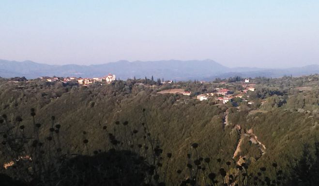 &Gamma;&iota;&omicron;&rho;&tau;ή &epsilon;&lambda;&iota;ά&sigmaf; &sigma;&tau;&omicron; &Kappa;&alpha;&lambda;&lambda;&iota;ά&nu;&iota; &Gamma;&omicron;&rho;&tau;&upsilon;&nu;ί&alpha;&sigmaf;!