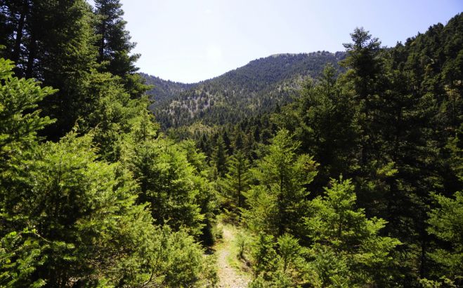 &Gamma;&iota;&alpha;&nu;&nu;&alpha;&kappa;&omicron;ύ&rho;&alpha;&sigmaf;: &laquo;&Mu;&eta;&tau;&sigma;&omicron;&tau;ά&kappa;&eta;&sigmaf; &kappa;&alpha;&iota; &Nu;ί&kappa;&alpha;&sigmaf; &delta;&omicron;&lambda;&omicron;&phi;&omicron;&nu;&omicron;ύ&nu; &tau;&omicron; &Mu;&alpha;ί&nu;&alpha;&lambda;&omicron;&raquo;!