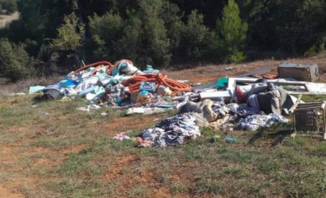 &Sigma;&kappa;&omicron;&upsilon;&pi;&iota;&delta;ό&tau;&omicron;&pi;&omicron; &sigma;&tau;&eta; &Mu;&alpha;&gamma;&omicron;ύ&lambda;&alpha; &Tau;&epsilon;&gamma;έ&alpha;&sigmaf; &kappa;&alpha;&theta;ά&rho;&iota;&sigma;&epsilon; &omicron; &Delta;ή&mu;&omicron;&sigmaf; &Tau;&rho;ί&pi;&omicron;&lambda;&eta;&sigmaf; (&epsilon;&iota;&kappa;ό&nu;&epsilon;&sigmaf;)