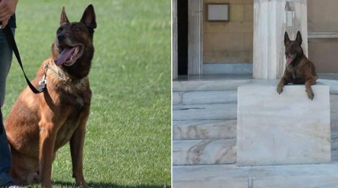 &Tau;&omicron; &sigma;&upsilon;&gamma;&kappa;&iota;&nu;&eta;&tau;&iota;&kappa;ό &laquo;&alpha;&nu;&tau;ί&omicron;&raquo; &tau;&eta;&sigmaf; &Epsilon;&Lambda;.&Alpha;&Sigma;. &sigma;&tau;&omicron;&nu; "Ά&rho;&eta;", &tau;&omicron;&nu; &sigma;&kappa;ύ&lambda;&omicron; &pi;&omicron;&upsilon; έ&beta;&rho;&iota;&sigma;&kappa;&epsilon; &epsilon;&kappa;&rho;&eta;&kappa;&tau;&iota;&kappa;ά ...