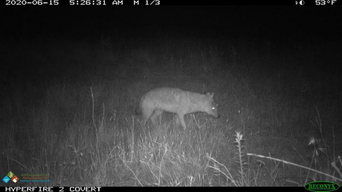 &Epsilon;&pi;&iota;&theta;έ&sigma;&epsilon;&iota;&sigmaf; &alpha;&pi;ό &tau;&sigma;&alpha;&kappa;ά&lambda;&iota;&alpha; &sigma;&epsilon; &kappa;&tau;&eta;&nu;&omicron;&tau;&rho;&omicron;&phi;&iota;&kappa;ά &zeta;ώ&alpha; | &Tau;&iota; &alpha;&nu;&alpha;&kappa;&omicron;ί&nu;&omega;&sigma;&epsilon; &omicron; &Phi;&omicron;&rho;έ&alpha;&sigmaf; &Delta;&iota;&alpha;&chi;&epsilon;ί&rho;&iota;&sigma;&eta;&sigmaf; &Pi;ά&rho;&nu;&omega;&nu;&alpha; - &Mu;&alpha;&iota;&nu;ά&lambda;&omicron;&upsilon;