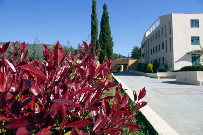 &Pi;&alpha;&nu;&epsilon;&pi;&iota;&sigma;&tau;ή&mu;&iota;&omicron; | &Eta;&mu;&epsilon;&rho;ί&delta;&alpha; &gamma;&iota;&alpha; &tau;&eta;&nu; &Alpha;&gamma;&rho;&omicron;&tau;&iota;&kappa;ή &Alpha;&nu;ά&pi;&tau;&upsilon;&xi;&eta; &sigma;&tau;&eta;&nu; &Tau;&rho;ί&pi;&omicron;&lambda;&eta;