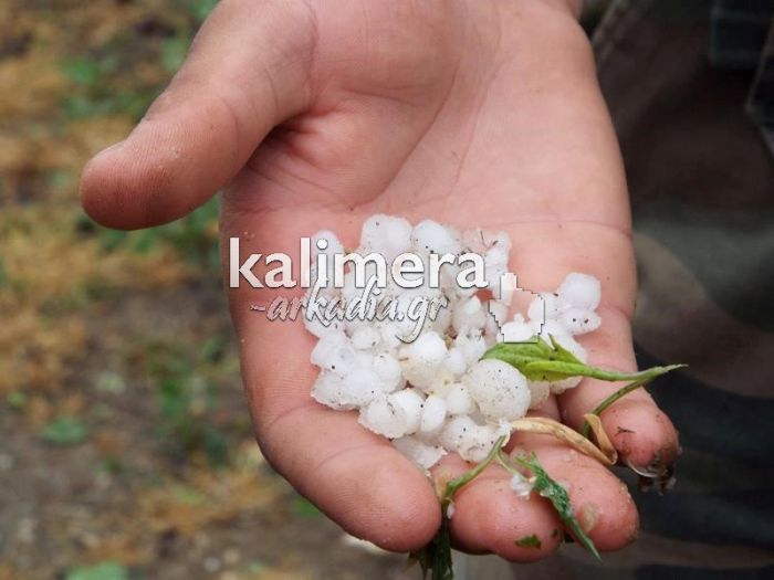 &Chi;&alpha;&lambda;ά&zeta;&iota; - Ά&mu;&epsilon;&sigma;&eta; &kappa;&alpha;&tau;&alpha;&gamma;&rho;&alpha;&phi;ή &tau;&omega;&nu; &zeta;&eta;&mu;&iota;ώ&nu; &kappa;&alpha;&iota; &alpha;&pi;&omicron;&zeta;&eta;&mu;ί&omega;&sigma;&eta; &tau;&omega;&nu; &pi;&alpha;&rho;&alpha;&gamma;&omega;&gamma;ώ&nu; &zeta;ή&tau;&eta;&sigma;&epsilon; &omicron; &Pi;&epsilon;&rho;&iota;&phi;&epsilon;&rho;&epsilon;&iota;ά&rho;&chi;&eta;&sigmaf;