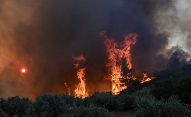 &Phi;&omega;&tau;&iota;ά &sigma;&tau;&omicron;&nu; Έ&beta;&rho;&omicron; | &Alpha;&pi;&alpha;&nu;&theta;&rho;&alpha;&kappa;&omega;&mu;έ&nu;&omicron;&iota; &epsilon;&nu;&tau;&omicron;&pi;ί&sigma;&tau;&eta;&kappa;&alpha;&nu; 18 &mu;&epsilon;&tau;&alpha;&nu;ά&sigma;&tau;&epsilon;&sigmaf; &sigma;&tau;&omicron; &delta;ά&sigma;&omicron;&sigmaf; &tau;&eta;&sigmaf; &Delta;&alpha;&delta;&iota;ά&sigmaf;