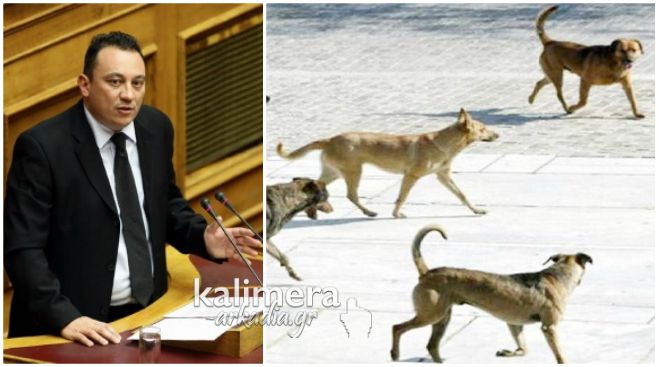 &Omicron; &Beta;&lambda;ά&sigma;&eta;&sigmaf; έ&phi;&epsilon;&rho;&epsilon; &tau;&omicron; &theta;έ&mu;&alpha; &sigma;&tau;&eta; &Beta;&omicron;&upsilon;&lambda;ή | &Zeta;&eta;&tau;ά &lambda;ύ&sigma;&eta; &gamma;&iota;&alpha; &tau;&alpha; &alpha;&delta;έ&sigma;&pi;&omicron;&tau;&alpha; &sigma;&tau;&omicron; &delta;ή&mu;&omicron; &Tau;&rho;ί&pi;&omicron;&lambda;&eta;&sigmaf;