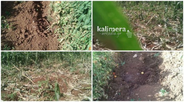 &Mu;έ&tau;&rho;&alpha; &gamma;&iota;&alpha; &tau;&omicron;&upsilon;&sigmaf; &alpha;&gamma;&rho;&iota;ό&chi;&omicron;&iota;&rho;&omicron;&upsilon;&sigmaf; &sigma;&tau;&eta;&nu; &Theta;&epsilon;&sigma;&sigma;&alpha;&lambda;&omicron;&nu;ί&kappa;&eta; &alpha;&nu;&alpha;&kappa;&omicron;ί&nu;&omega;&sigma;&epsilon; &tau;&omicron; &Upsilon;&pi;&omicron;&upsilon;&rho;&gamma;&epsilon;ί&omicron; &Pi;&epsilon;&rho;&iota;&beta;ά&lambda;&lambda;&omicron;&nu;&tau;&omicron;&sigmaf; &ndash; &Mu;&epsilon; &tau;&eta;&nu; &Alpha;&rho;&kappa;&alpha;&delta;ί&alpha; &pi;ό&tau;&epsilon; &theta;&alpha; &alpha;&sigma;&chi;&omicron;&lambda;&eta;&theta;&epsilon;ί;