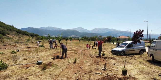 Δενδροφύτευση στο χωριό Κάψια - Δείτε εικόνες!