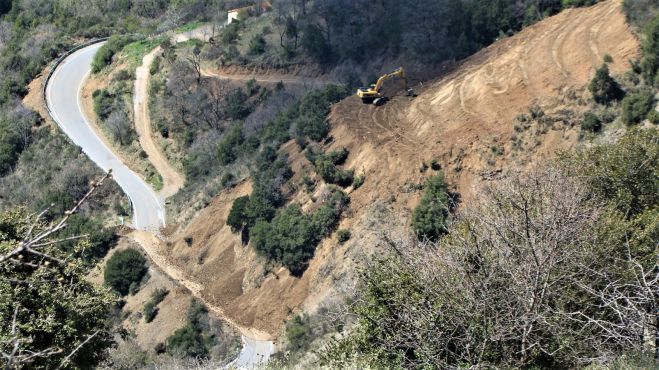 Δήμος Γορτυνίας | Αίτημα προς την Περιφέρεια για συντήρηση και κοπή της παράπλευρης βλάστησης στους παρακαμπτήριους δρόμους