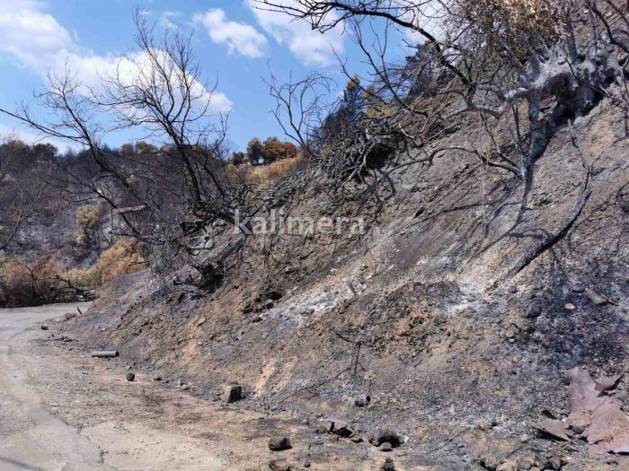 Πρόταση για ίδρυση Συλλόγου Πυρόπληκτων Χωριών Δήμου Γορτυνίας