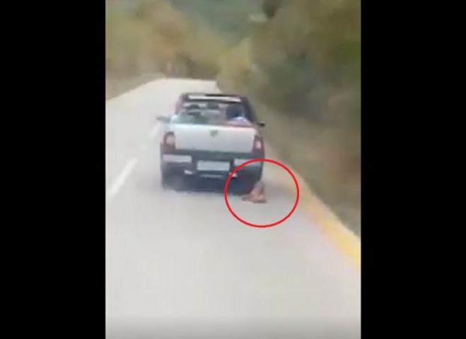 Καλάβρυτα | Προανάκριση από την Αστυνομία για τον άνδρα που έσερνε σκύλο με αγροτικό (vd)