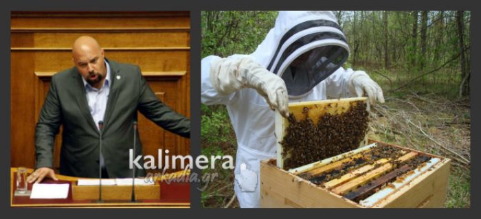 &quot;Σε απόγνωση οι μελισσοκόμοι της Αρκαδίας&quot; λέει ο Παναγιώταρος στη Βουλή