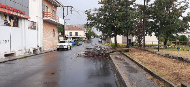 &Mu;&epsilon;&gamma;&alpha;&lambda;ό&pi;&omicron;&lambda;&eta; | &Delta;έ&nu;&delta;&rho;&omicron; έ&pi;&epsilon;&sigma;&epsilon; &sigma;&tau;&eta; &mu;έ&sigma;&eta; &tau;&omicron;&upsilon; &delta;&rho;ό&mu;&omicron;&upsilon;!