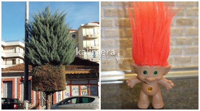 &Tau;&alpha; &delta;έ&nu;&tau;&rho;&alpha; &sigma;&tau;&eta;&nu; &Tau;&rho;ί&pi;&omicron;&lambda;&eta; &kappa;&omicron;&upsilon;&rho;&epsilon;ύ&tau;&eta;&kappa;&alpha;&nu; &sigma;&alpha;&nu; &tau;&omicron;&nu; ... &laquo;&Epsilon;&upsilon;&chi;&omicron;ύ&lambda;&eta;&raquo;! (&epsilon;&iota;&kappa;ό&nu;&epsilon;&sigmaf;)