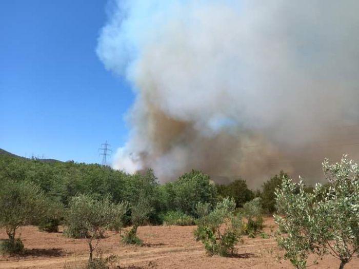 Σε κατηγορία κινδύνου 4 για πυρκαγιά παραμένει μεγάλο τμήμα της Αρκαδίας