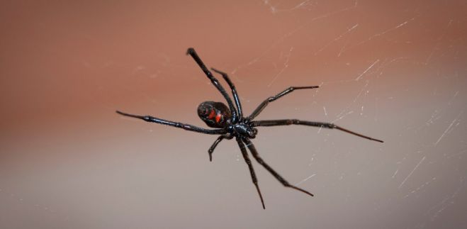 &Pi;ά&tau;&rho;&alpha; | &Sigma;&tau;&eta; &Mu;&Epsilon;&Theta; &beta;&rho;έ&phi;&omicron;&sigmaf; 10 &mu;&eta;&nu;ώ&nu; &alpha;&pi;ό &tau;&sigma;ί&mu;&pi;&eta;&mu;&alpha; &mu;&alpha;ύ&rho;&eta;&sigmaf; &alpha;&rho;ά&chi;&nu;&eta;&sigmaf;