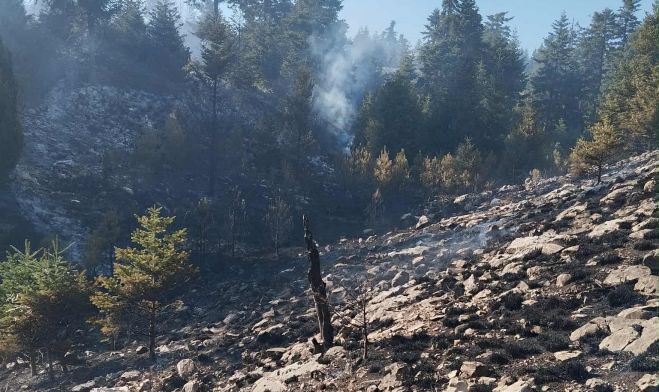 Υπό έλεγχο η φωτιά στο Μαίναλο | Επιφυλακή τη νύχτα για τυχόν αναζωπυρώσεις - Δεν απειλήθηκαν οικισμοί (εικόνες)