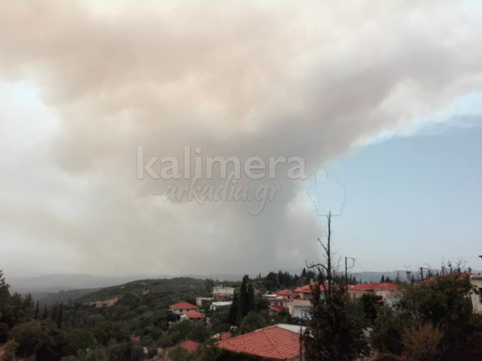 ΣΥΡΙΖΑ: &quot;Το επιτελικό κράτος του κ. Μητσοτάκη ήταν ανεπαρκές και στην Αρκαδία&quot;
