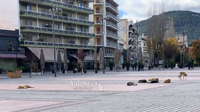 &Delta;ή&mu;&omicron;&sigmaf; &Tau;&rho;ί&pi;&omicron;&lambda;&eta;&sigmaf; | &Delta;&iota;&alpha;&gamma;&omega;&nu;&iota;&sigma;&mu;ό&sigmaf; &gamma;&iota;&alpha; &tau;&eta; &delta;&iota;&alpha;&mu;ό&rho;&phi;&omega;&sigma;&eta; &epsilon;&gamma;&kappa;&alpha;&tau;&alpha;&sigma;&tau;ά&sigma;&epsilon;&omega;&nu; &kappa;&alpha;&tau;&alpha;&phi;&upsilon;&gamma;ί&omicron;&upsilon; &alpha;&delta;έ&sigma;&pi;&omicron;&tau;&omega;&nu; &zeta;ώ&omega;&nu; &sigma;&upsilon;&nu;&tau;&rho;&omicron;&phi;&iota;ά&sigmaf;
