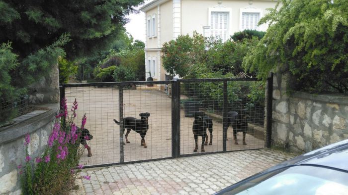 &Theta;&rho;ή&nu;&omicron;&sigmaf; &sigma;&tau;&eta;&nu; &Kappa;&omicron;&zeta;ά&nu;&eta;: &Tau;&rho;&alpha;&gamma;&iota;&kappa;ό&sigmaf; &theta;ά&nu;&alpha;&tau;&omicron;&sigmaf; &gamma;&iota;&alpha; 5&chi;&rho;&omicron;&nu;&omicron; &pi;&alpha;&iota;&delta;ά&kappa;&iota;, &mu;&epsilon;&tau;ά &alpha;&pi;ό &epsilon;&pi;ί&theta;&epsilon;&sigma;&eta; &Rho;&omicron;&tau;&beta;ά&iota;&lambda;&epsilon;&rho; (vd)