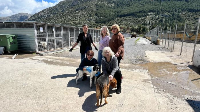 Παγκόσμια Ημέρα Αδέσποτων Ζώων – Δράσεις σε σχολεία και ανοιχτές πόρτες στο Δημοτικό Καταφύγιο Τρίπολης (vd)