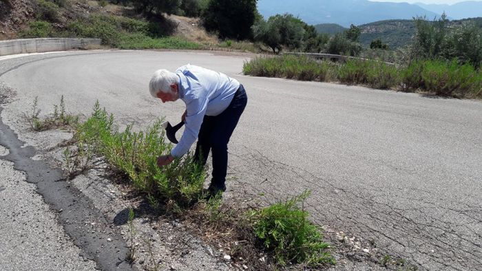 Viral η φωτογραφία του Τατούλη με … κλαδευτήρι να καθαρίζει τα χόρτα σε δρόμο!