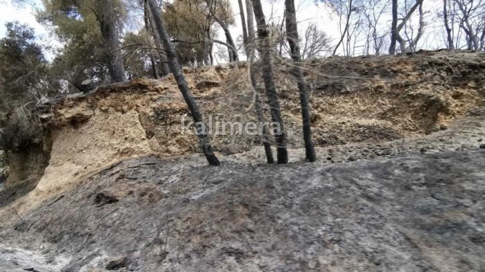 &Alpha;&pi;ό&phi;&alpha;&sigma;&eta; &Nu;ί&kappa;&alpha; | &Pi;ά&nu;&omega; &alpha;&pi;ό 1.200.000 &euro; &gamma;&iota;&alpha; έ&rho;&gamma;&alpha; &sigma;&tau;&eta;&nu; &pi;&upsilon;&rho;ό&pi;&lambda;&eta;&kappa;&tau;&eta; &Gamma;&omicron;&rho;&tau;&upsilon;&nu;ί&alpha;!