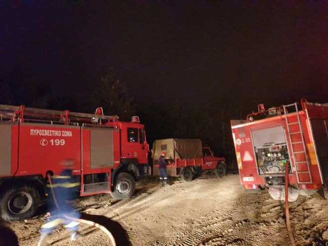 Τεράστια κινητοποίηση από την Πυροσβεστική μέσα στη νύχτα για τη φωτιά στην Κυνουρία (εικόνες - βίντεο)