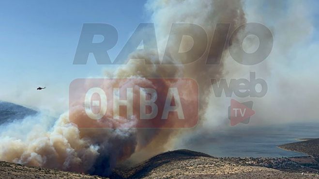 &Nu;&epsilon;&kappa;&rho;ό&sigmaf; &kappa;&tau;&eta;&nu;&omicron;&tau;&rho;ό&phi;&omicron;&sigmaf; &alpha;&pi;ό &tau;&eta; &phi;&omega;&tau;&iota;ά &sigma;&tau;&eta; &Beta;&omicron;&iota;&omega;&tau;ί&alpha;