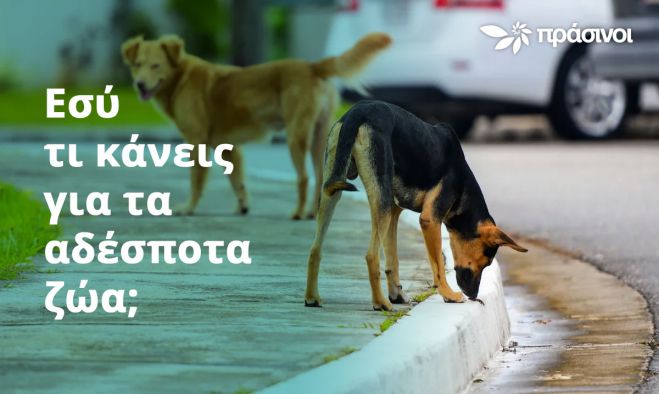 &Epsilon;&sigma;ύ, &tau;&iota; &kappa;ά&nu;&epsilon;&iota;&sigmaf; &gamma;&iota;&alpha; &tau;&alpha; &alpha;&delta;έ&sigma;&pi;&omicron;&tau;&alpha; &zeta;ώ&alpha;;