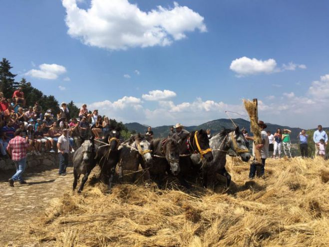 &Pi;&alpha;&rho;&alpha;&delta;&omicron;&sigma;&iota;&alpha;&kappa;ό &alpha;&lambda;ώ&nu;&iota;&sigma;&mu;&alpha; &gamma;&iota;&alpha; 20&eta; &chi;&rho;&omicron;&nu;&iota;ά &sigma;&tau;&omicron; &Beta;&alpha;&lambda;&tau;&epsilon;&sigma;&iota;&nu;ί&kappa;&omicron; &Gamma;&omicron;&rho;&tau;&upsilon;&nu;ί&alpha;&sigmaf;!