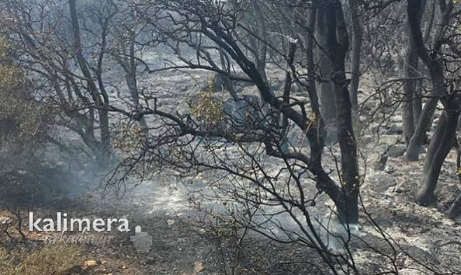 Έ&sigma;&beta;&eta;&sigma;&epsilon; &eta; &phi;&omega;&tau;&iota;ά &sigma;&tau;&iota;&sigmaf; &Rho;ί&zeta;&epsilon;&sigmaf; &Tau;&epsilon;&gamma;έ&alpha;&sigmaf;