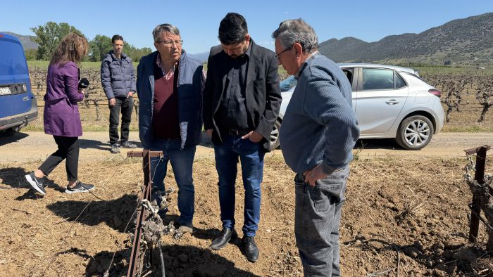 &Epsilon;&Lambda;&Gamma;&Alpha; &kappa;&alpha;&iota; &Delta;ή&mu;&omicron;&sigmaf; &Tau;&rho;ί&pi;&omicron;&lambda;&eta;&sigmaf; &sigma;&tau;&omicron; &Zeta;&epsilon;&upsilon;&gamma;&omicron;&lambda;&alpha;&tau;&iota;ό &gamma;&iota;&alpha; &tau;&iota;&sigmaf; &zeta;&eta;&mu;&iota;έ&sigmaf; &alpha;&pi;ό &tau;&omicron;&nu; &pi;&alpha;&gamma;&epsilon;&tau;ό! (&epsilon;&iota;&kappa;ό&nu;&epsilon;&sigmaf; - &beta;ί&nu;&tau;&epsilon;&omicron;)