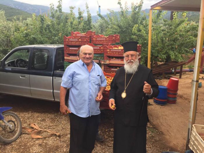 Συγκομιδή βερίκοκων από τα κτήματα της Μονής Παλαιοπαναγιάς - Πρωτοστάτησε ο Μητροπολίτης! (εικόνες)