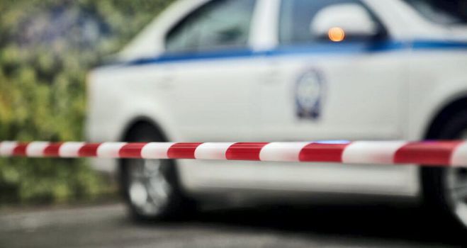 &Sigma;&omicron;&kappa; | &Nu;&epsilon;&alpha;&rho;ή &kappa;&omicron;&pi;έ&lambda;&alpha; &beta;&rho;έ&theta;&eta;&kappa;&epsilon; &nu;&epsilon;&kappa;&rho;ή &sigma;&tau;&omicron; &Pi;&eta;&gamma;ά&delta;&iota; &Kappa;&upsilon;&nu;&omicron;&upsilon;&rho;ί&alpha;&sigmaf; ...