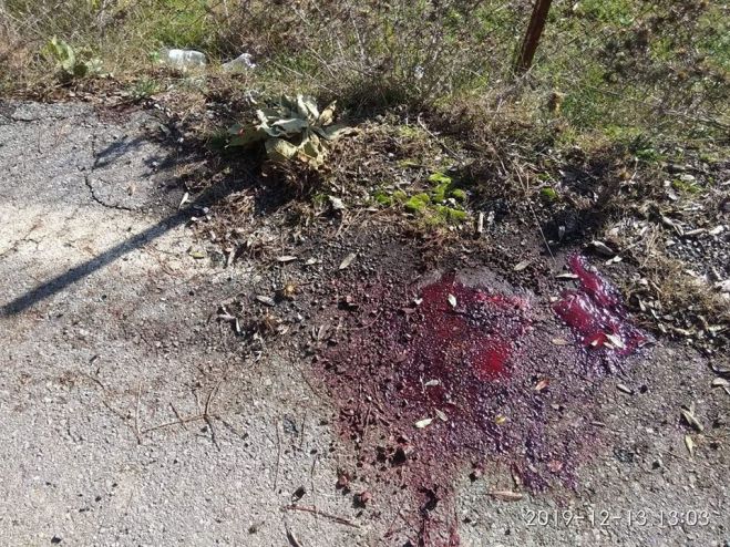 &Nu;έ&omicron; &pi;&upsilon;&rho;&omicron;&beta;&omicron;&lambda;&iota;&sigma;&mu;ό &sigma;&kappa;ύ&lambda;&omicron;&upsilon; &sigma;&tau;&eta;&nu; &Tau;&rho;ί&pi;&omicron;&lambda;&eta; &kappa;&alpha;&tau;&alpha;&gamma;&gamma;έ&lambda;&lambda;&epsilon;&iota; &omicron; &Phi;&iota;&lambda;&omicron;&zeta;&omega;&iota;&kappa;ό&sigmaf;