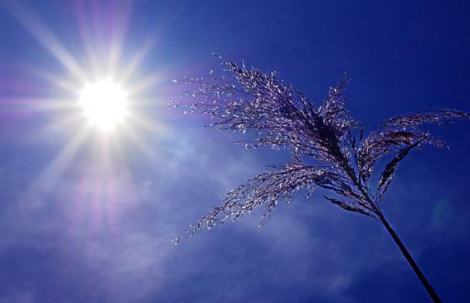 &Mu;&epsilon;&rho;&omicron;&mu;ή&nu;&iota;&alpha; | &Pi;ό&sigma;&omicron; &theta;&alpha; &upsilon;&pi;&omicron;&phi;έ&rho;&omicron;&upsilon;&mu;&epsilon; &alpha;&pi;ό &kappa;&alpha;ύ&sigma;&omega;&nu;&epsilon;&sigmaf; &tau;&omicron; &phi;&epsilon;&tau;&iota;&nu;ό &kappa;&alpha;&lambda;&omicron;&kappa;&alpha;ί&rho;&iota;