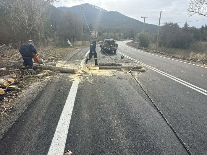 &Sigma;&epsilon; &epsilon;&tau;&omicron;&iota;&mu;ό&tau;&eta;&tau;&alpha; &omicron; &Delta;ή&mu;&omicron;&sigmaf; &Gamma;&omicron;&rho;&tau;&upsilon;&nu;ί&alpha;&sigmaf; &gamma;&iota;&alpha; &tau;&eta;&nu; &kappa;&alpha;&kappa;&omicron;&kappa;&alpha;&iota;&rho;ί&alpha; - &Pi;&tau;ώ&sigma;&epsilon;&iota;&sigmaf; &delta;έ&nu;&delta;&rho;&omega;&nu; &alpha;&pi;ό &tau;&omicron;&upsilon;&sigmaf; &iota;&sigma;&chi;&upsilon;&rho;&omicron;ύ&sigmaf; &alpha;&nu;έ&mu;&omicron;&upsilon;&sigmaf;! (&epsilon;&iota;&kappa;ό&nu;&epsilon;&sigmaf;)