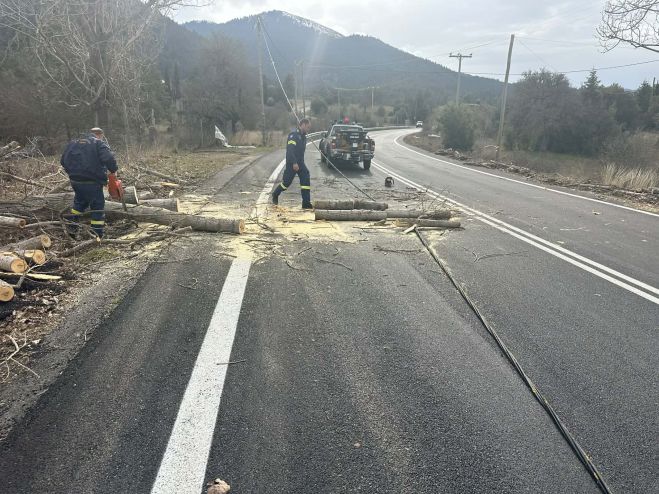 &Sigma;&epsilon; &epsilon;&tau;&omicron;&iota;&mu;ό&tau;&eta;&tau;&alpha; &omicron; &Delta;ή&mu;&omicron;&sigmaf; &Gamma;&omicron;&rho;&tau;&upsilon;&nu;ί&alpha;&sigmaf; &gamma;&iota;&alpha; &tau;&eta;&nu; &kappa;&alpha;&kappa;&omicron;&kappa;&alpha;&iota;&rho;ί&alpha; - &Pi;&tau;ώ&sigma;&epsilon;&iota;&sigmaf; &delta;έ&nu;&delta;&rho;&omega;&nu; &alpha;&pi;ό &tau;&omicron;&upsilon;&sigmaf; &iota;&sigma;&chi;&upsilon;&rho;&omicron;ύ&sigmaf; &alpha;&nu;έ&mu;&omicron;&upsilon;&sigmaf;! (&epsilon;&iota;&kappa;ό&nu;&epsilon;&sigmaf;)