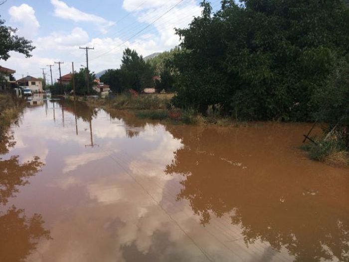 &Kappa;&alpha;&kappa;&omicron;&kappa;&alpha;&iota;&rho;ί&alpha; - &Omicron; &Kappa;ώ&sigma;&tau;&alpha;&sigmaf; &Tau;&zeta;&iota;&omicron;ύ&mu;&eta;&sigmaf; &gamma;&iota;&alpha; &tau;&iota;&sigmaf; &zeta;&eta;&mu;&iota;έ&sigmaf; &sigma;&epsilon; &pi;&epsilon;&rho;&iota;&omicron;&chi;έ&sigmaf; &tau;&omicron;&upsilon; &delta;ή&mu;&omicron;&upsilon; &Tau;&rho;ί&pi;&omicron;&lambda;&eta;&sigmaf;
