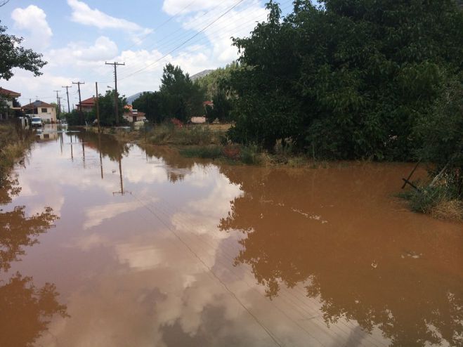 &Kappa;&alpha;&kappa;&omicron;&kappa;&alpha;&iota;&rho;ί&alpha; - &Omicron; &Kappa;ώ&sigma;&tau;&alpha;&sigmaf; &Tau;&zeta;&iota;&omicron;ύ&mu;&eta;&sigmaf; &gamma;&iota;&alpha; &tau;&iota;&sigmaf; &zeta;&eta;&mu;&iota;έ&sigmaf; &sigma;&epsilon; &pi;&epsilon;&rho;&iota;&omicron;&chi;έ&sigmaf; &tau;&omicron;&upsilon; &delta;ή&mu;&omicron;&upsilon; &Tau;&rho;ί&pi;&omicron;&lambda;&eta;&sigmaf;
