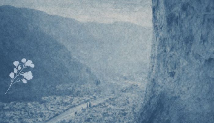 &Beta;&iota;&omega;&mu;&alpha;&tau;&iota;&kappa;ό &epsilon;&rho;&gamma;&alpha;&sigma;&tau;ή&rho;&iota;&omicron; &kappa;&upsilon;&alpha;&nu;&omicron;&tau;&upsilon;&pi;ί&alpha;&sigmaf; &sigma;&tau;&omicron; &Lambda;&epsilon;&omega;&nu;ί&delta;&iota;&omicron;