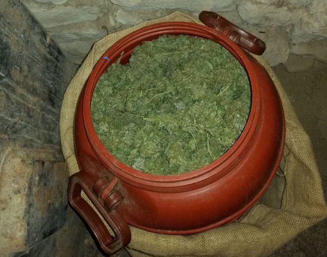 &Pi;ά&nu;&omega; &alpha;&pi;ό 2,5 &kappa;&iota;&lambda;ά &kappa;ά&nu;&nu;&alpha;&beta;&eta;&sigmaf; &kappa;&alpha;&tau;&alpha;&sigma;&chi;έ&theta;&eta;&kappa;&alpha;&nu; &sigma;&tau;&eta; &Mu;&epsilon;&sigma;&sigma;&eta;&nu;ί&alpha;!